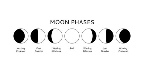 Phases Of The Moon Drawing