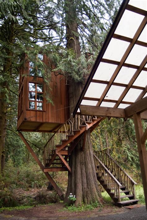 This is something I saw once.: Treehouse Point Weekend, Fall City