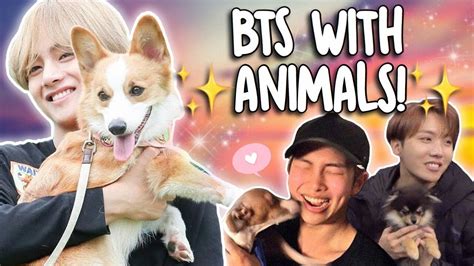 Bts With Animals Youtube