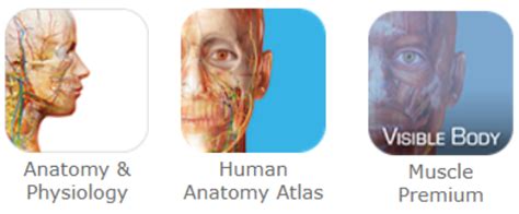 Visible Body 3d Human Anatomy Atlas Review Kurthosts