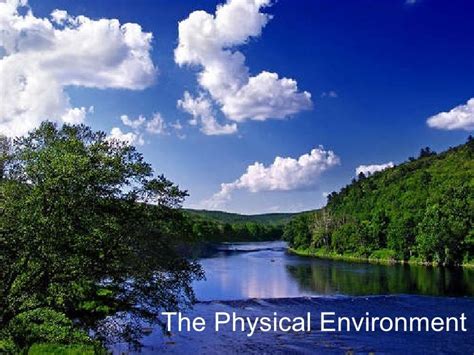 Discuss How Does The Environment Acts As A Stimulant To Business