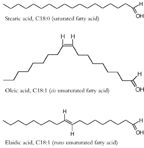 Diagram Essential Fatty Acid Diagram Mydiagramonline