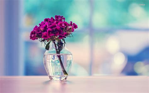 A great decoration for your living room,drawing room, office, desk, table centerpieces for living room. 40+ Flowers in Vase Wallpaper on WallpaperSafari