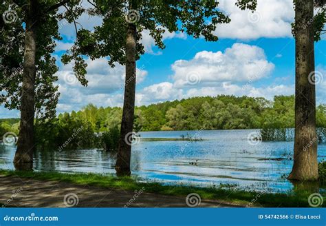Loire Stock Photo Image Of Europe Flowing Water Tree 54742566