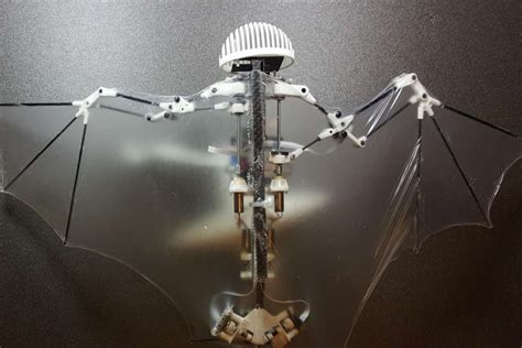 Watch Behold The Bat Bot A Flapping Robot Drone That Swoops And Dives