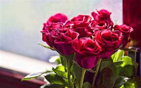 1920x1200 1920x1080 1366x768 1280x720 1024x768 800x600 bw Red Roses Wallpaper (58+ images)