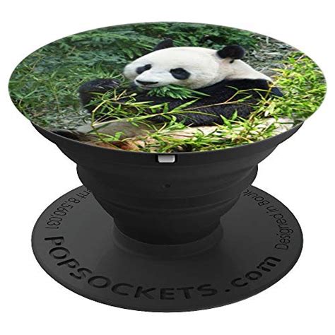 Panda Popsockets Popgrip Ausziehbarer Sockel Und Griff Für Handys