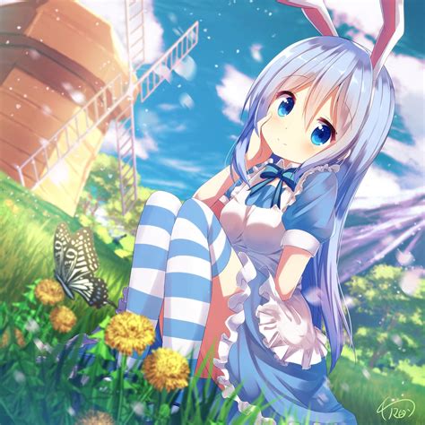 Chino Kafuu Anime Girl Mobile Wallpaper Hd Mobile Wal