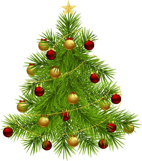 Over 200 angles available for each 3d object, rotate and download. Christmas tree PNG