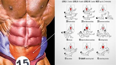 Three Simple Exercises To Work Your Lower Abdominals Bodydulding