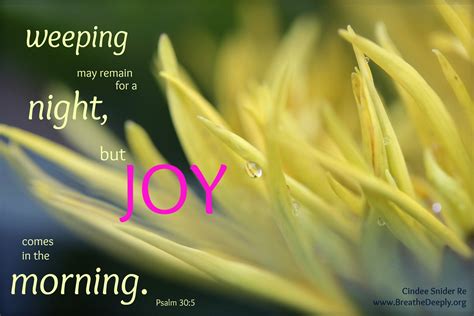 Joy In The Morning Joy In The Morning Psalm 30 5 Psalm 30