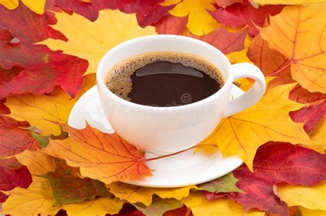 Coffee In A Cup And Autumn Maple Leaves Stock Photo
