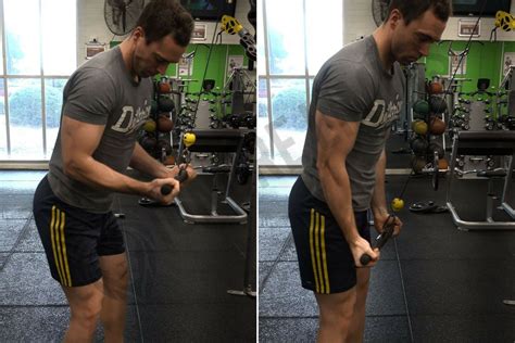 How To Reverse Grip Triceps Pushdown Ignore Limits