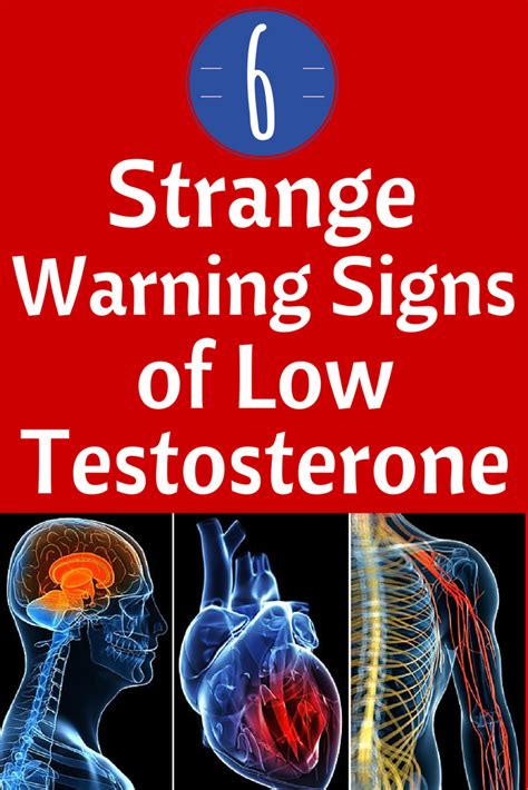 6 Strange Warning Signs Of Low Testosterone Artofit