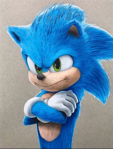 Sonic The Hedgehog Drawing Hedgehog Drawing Sonic Hedgehog Art