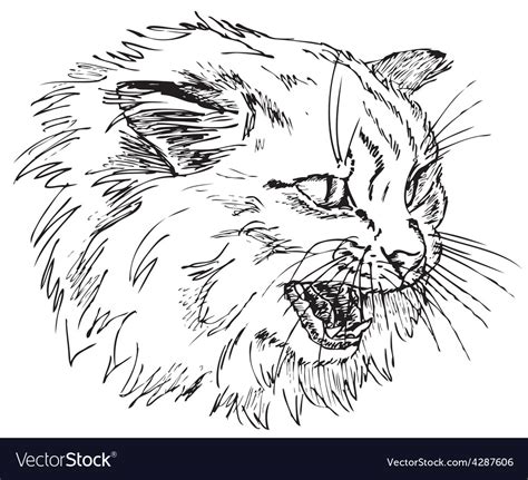 Angry Cat Royalty Free Vector Image Vectorstock