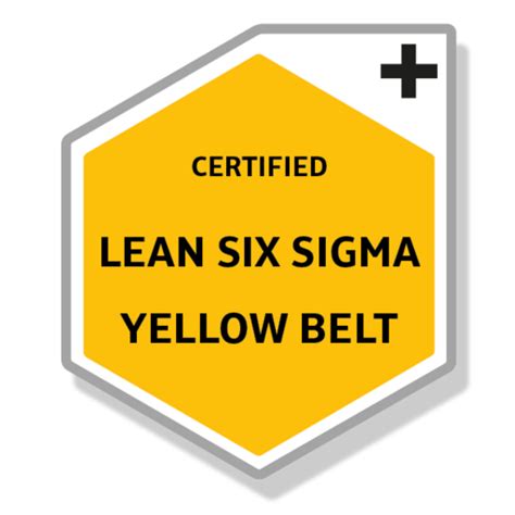 Certified Lean Six Sigma Yellow Belt Credly