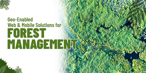 Gis For Forest Management Application Of Gis For Forest Management
