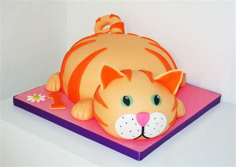 Ginger Cat Cake By The Coloured Bubble Cakery Birthday Cake For Cat
