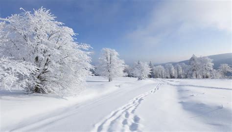 ¿por Qué La Nieve Es Blanca 800noticias