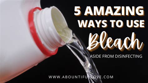 5 Amazing Ways To Use Bleach A Bountiful Love