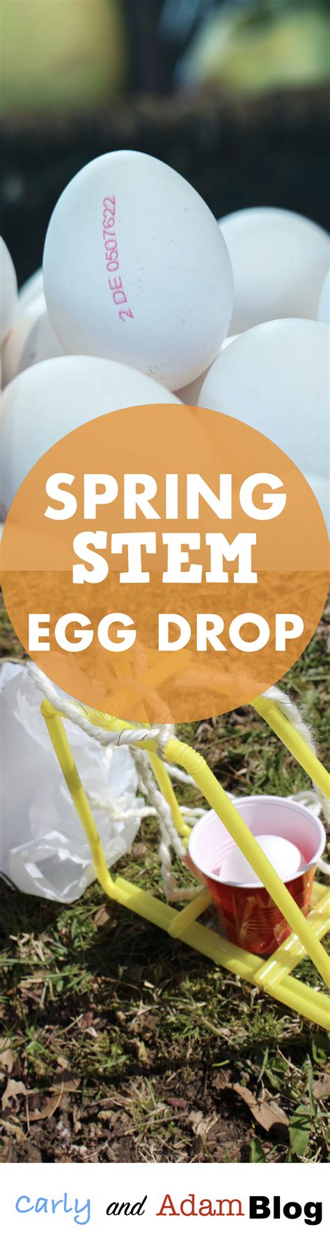 some eggs in plastic bags with the words spring stem egg drop