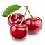 Download Red Cherry Png Image HQ PNG  FreePNGImg