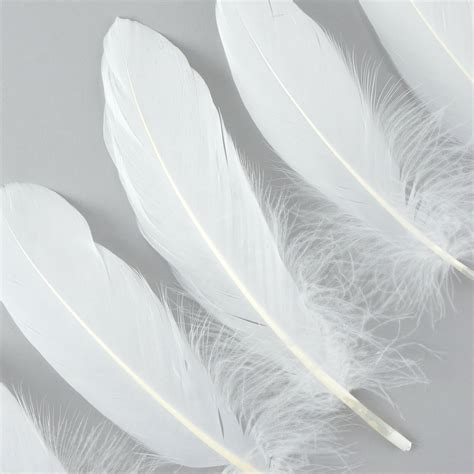 Goose Feathers 6 8 Loose Goose Pallet Feathers White White Feathers