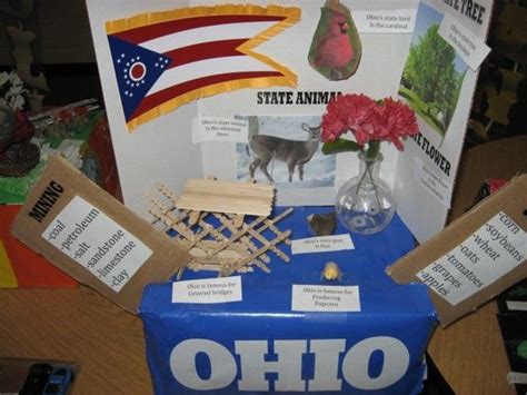 Pin By Bonnie Fischer On State Float Projects States Project Science