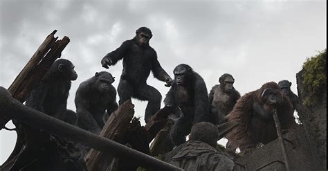 Dawn Of The Planet Of The Apes 2014