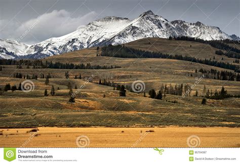 Autumn Meadow Snowy Peaks Yellowstone National Park Stock Image