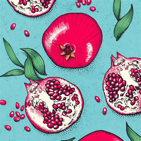 Food Illustration — Lisa Maltby