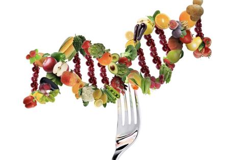 2022 2030 Dna Testing For Personalized Nutrition Market Will