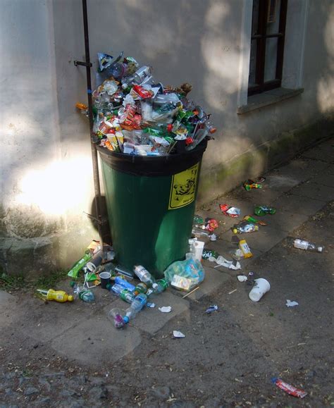 FREE IMAGE: Full Trash Can | Libreshot Public Domain Photos