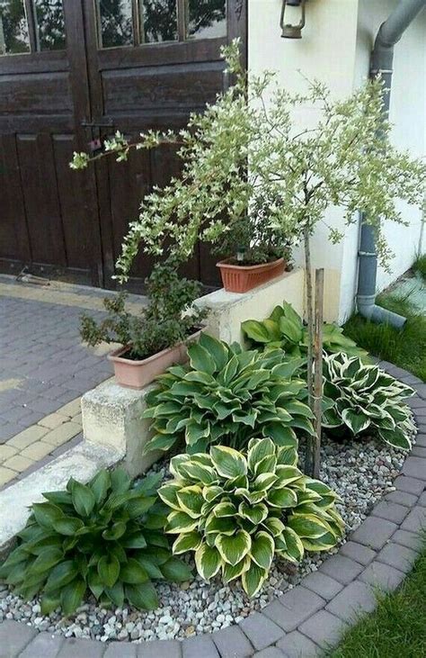 60 Low Maintenance Front Yard Landscaping Ideas