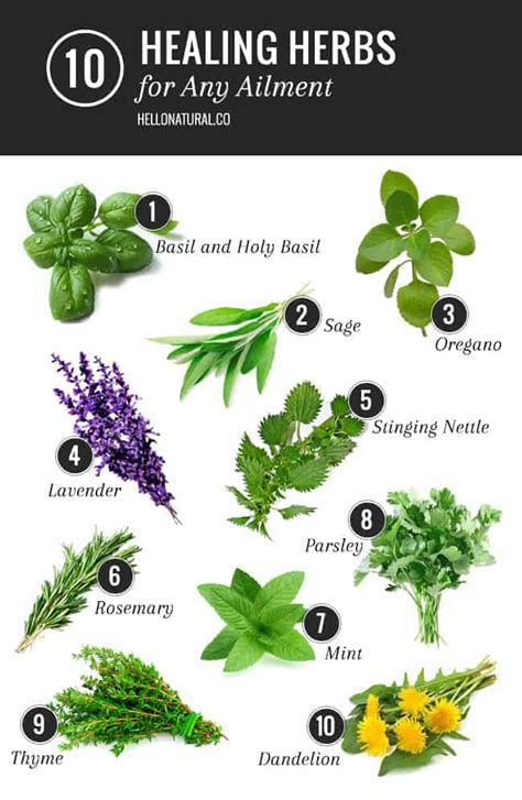 It is also fun to introduce this kind of healing to the other medical, scientific type of practitioners and for them to see our patients return again and again for more essences. 10 Healing Herbs List for Any Ailment | HelloGlow.co