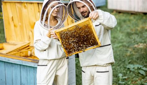 7 Fun Jobs Working With Bees With Salaries Bee Real Honey