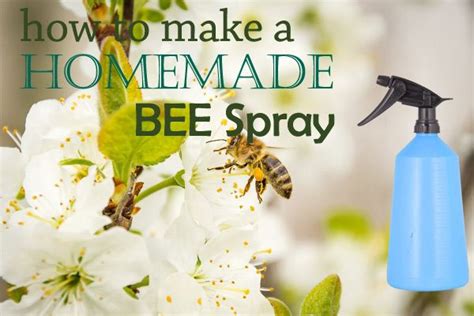 7 Useful Homemade Wasp And Bee Spray Kill Them Safely Bee Spray