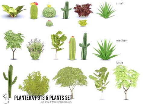Lana Cc Finds Plantera Plant Set Sims 4 Tsr Sims Cc Garden Trees