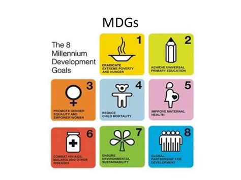 Check spelling or type a new query. From the Millennium Development Goals to Sustainable ...