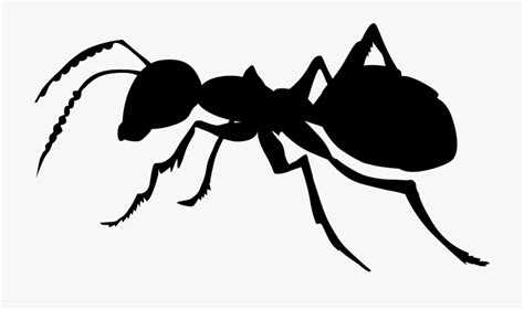 Clipart Black And White Ant 10 Free Cliparts Download Images On