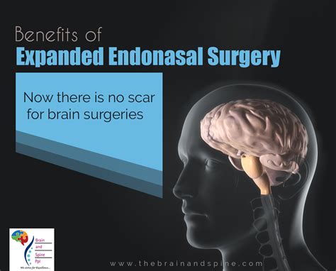 In this article we will discuss the anatomy, its contents and clinical relevance of the mandibular mandibular foramen. The Expanded Endonasal Approach (EEA) is an innovative ...