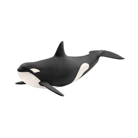 Killer Whale Toys And Co Schleich