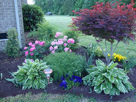 Colorful Bushes For Your Front Yard Add Life And Joy To Your Home
