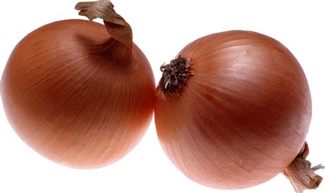 2 Onions Png Clip Art Library