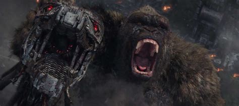 Why Kong Is The Hero Of Godzilla Vs Kong