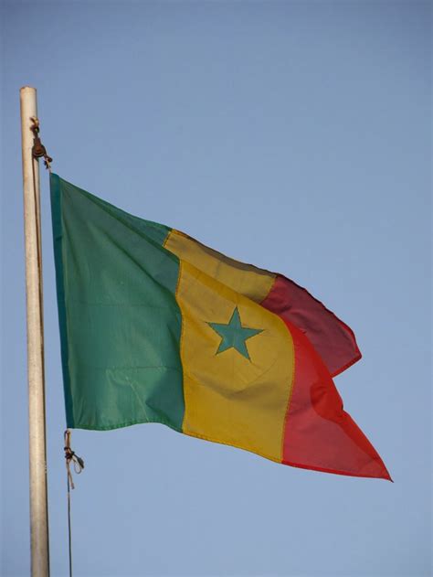 Graafix Flag Of Senegal