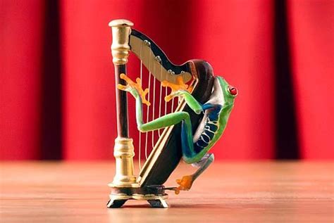 Harp Music Art Musical Instrument Humor Frog Playing The Etsy Harps