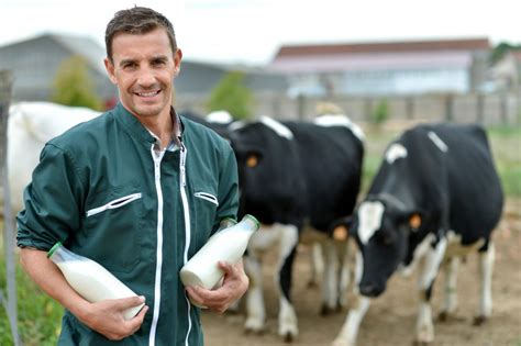 Solutions For Dairy Farmers Agrilyze Agritech Solutions