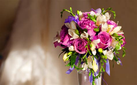 Bunch of pink ranunculus flowers. violet roses bouquet - HD Desktop Wallpapers | 4k HD